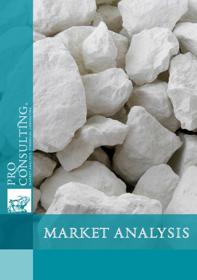 Analysis of the kaolin market in Ukraine and the world. 2021 year